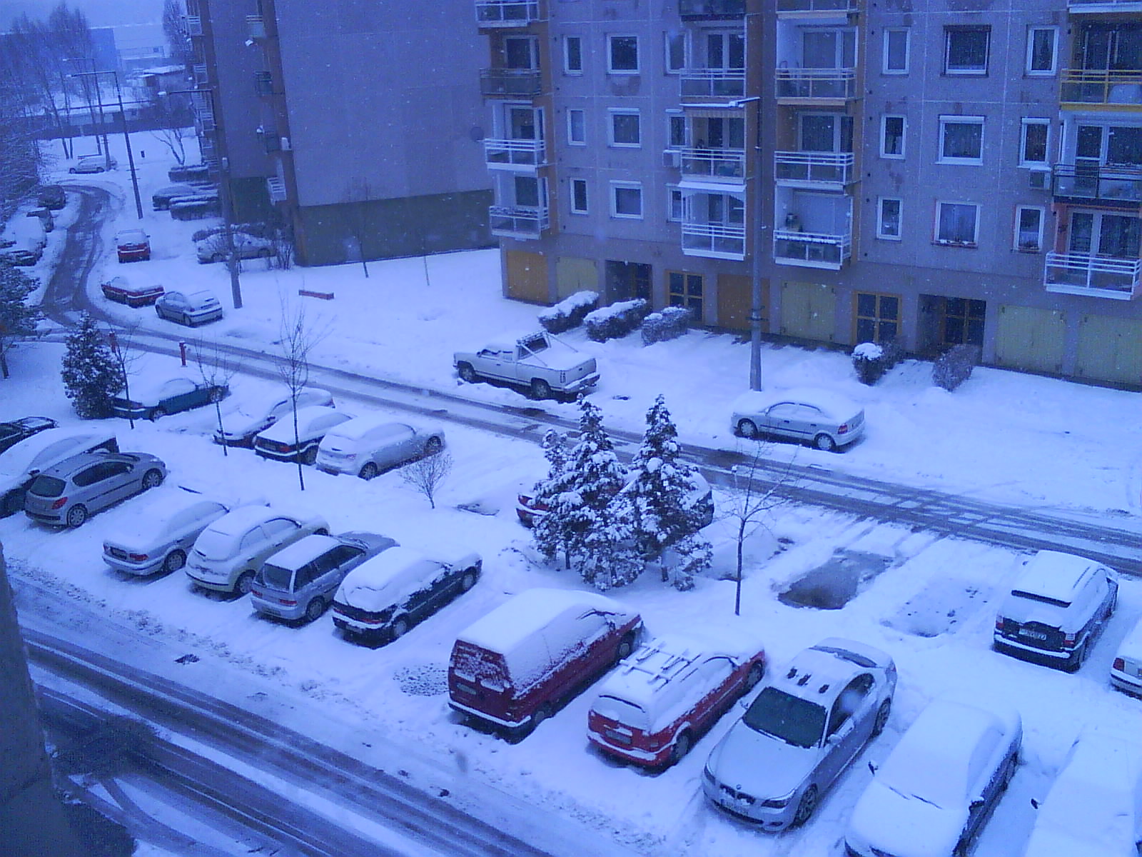 [DSC00063.JPG]