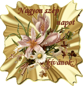 [www.tvn.hu_9035d8f76cf9c1eff40b6a6ff6a6e178.gif]