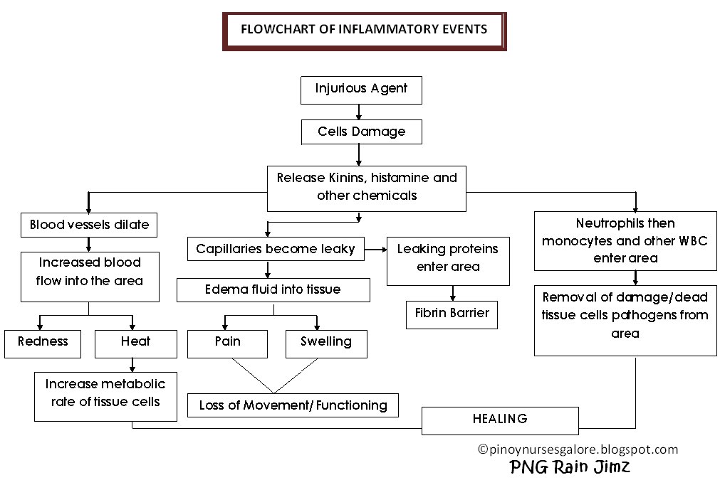 Inflammatory Response Flow Chart
