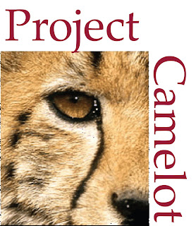 Project Camelot: SOMETHING GOING DOWN IN NYC & DC?  Project+Camelot+logo