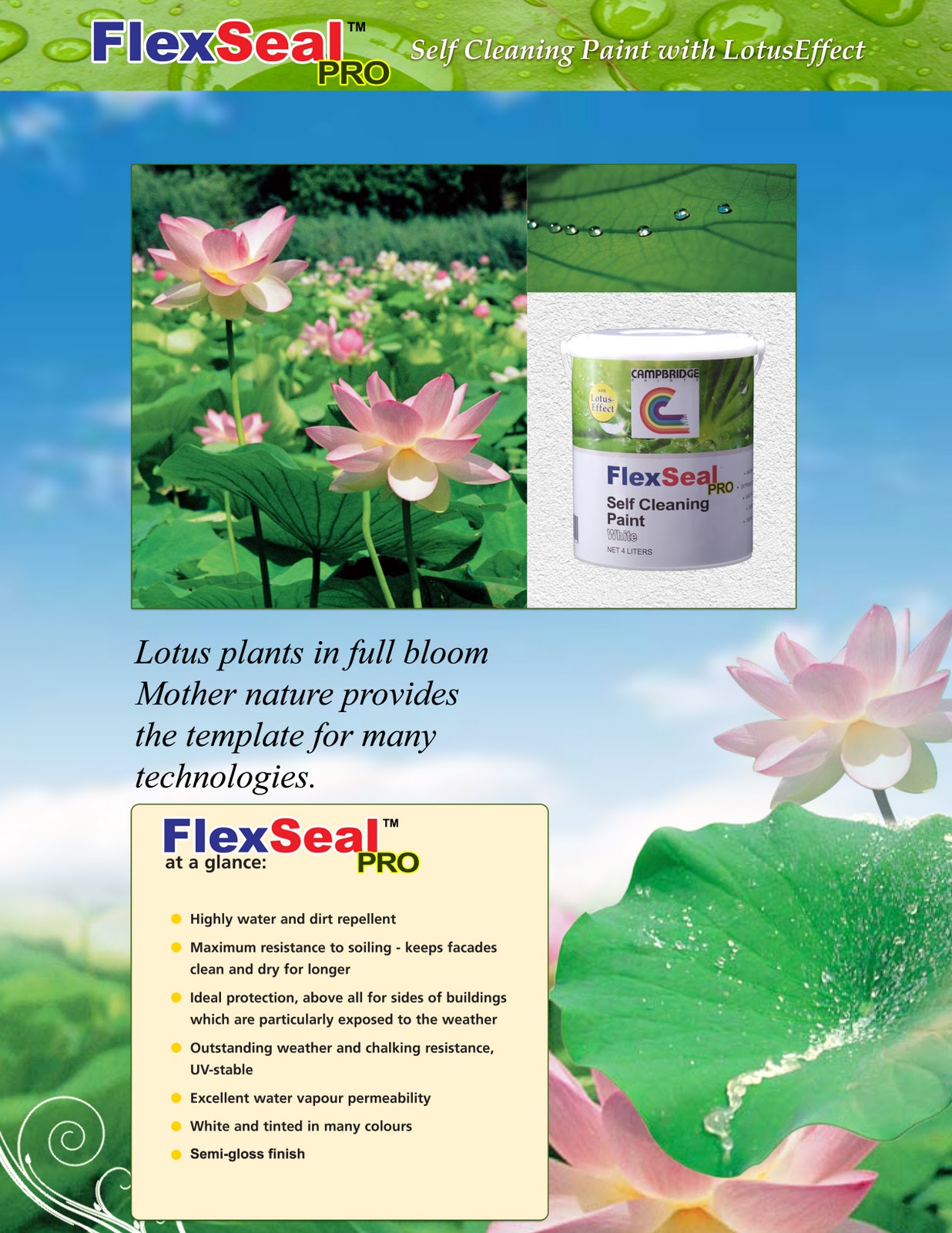 campbridgepaints FlexSeal PRO Self Cleaning Paint