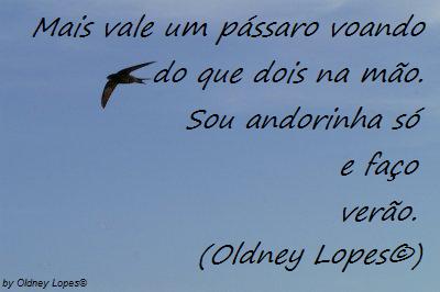 [minhasfrases12w.JPG]