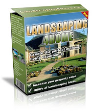 Landscaping on a Budget