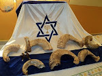 shofar de carnero y cabra naturales  ,otra variedad