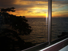 the view of the outside