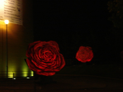 [605DSC01616.JPG]