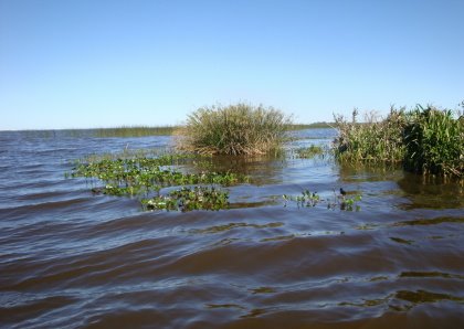 [DSC02314.JPG]
