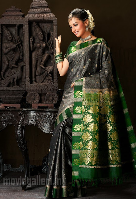 Actress Sana Khan in Saree