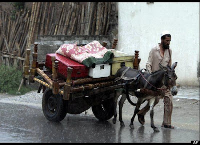 2010 flood in pakistan