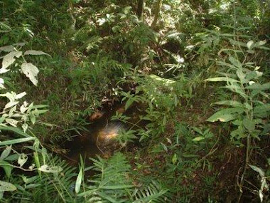 PARQUE SÃO FRANCISCO