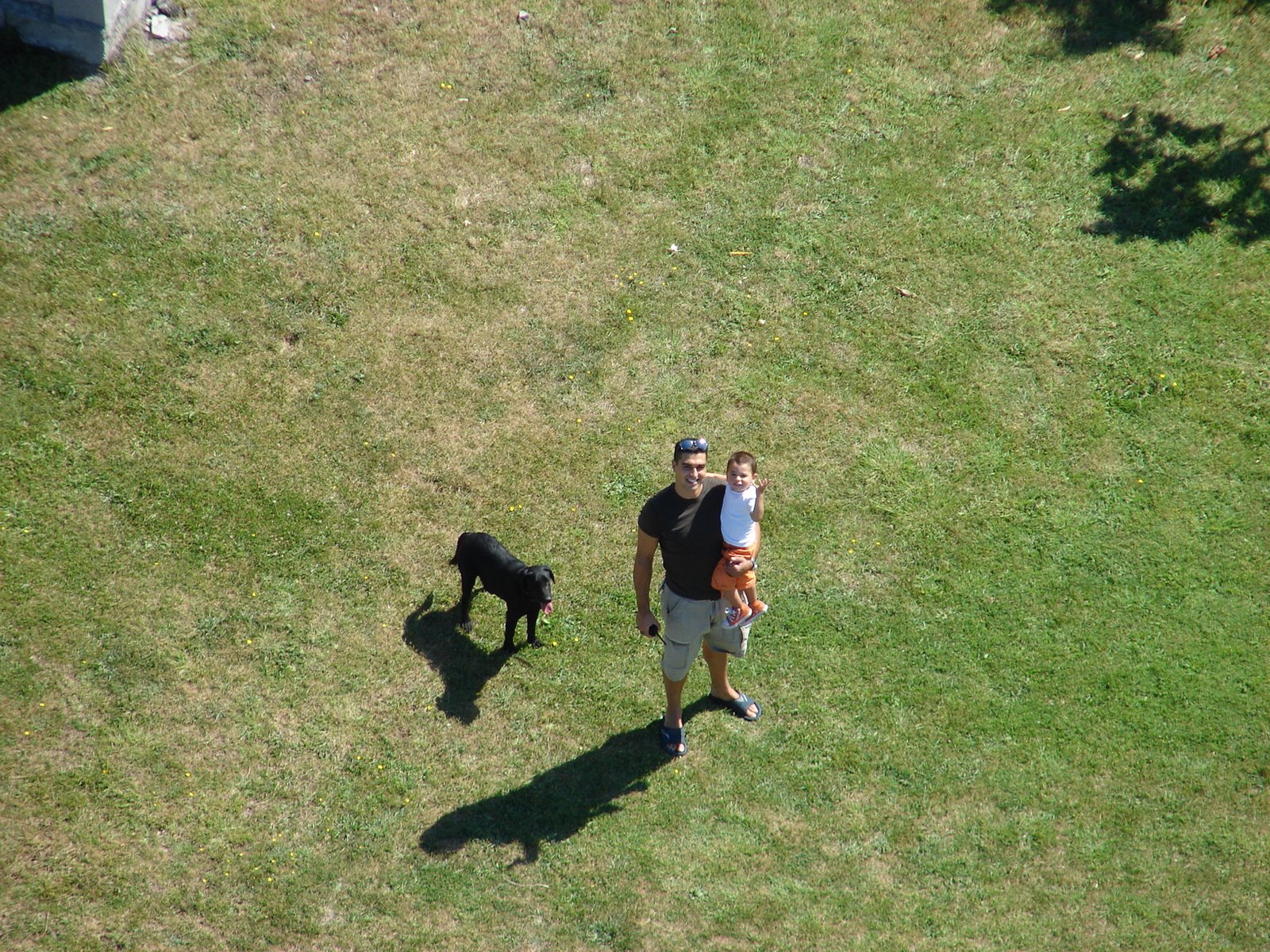 [DSC09981.JPG]