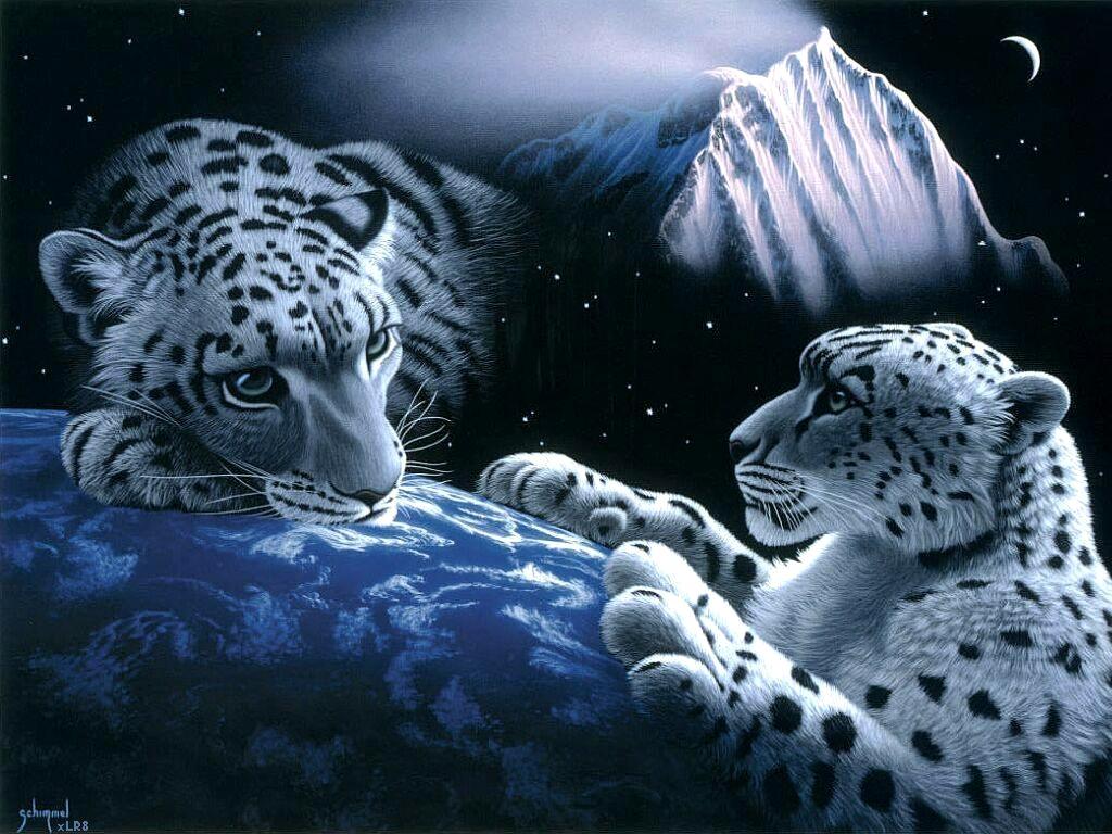 Tigres+uanl+wallpaper