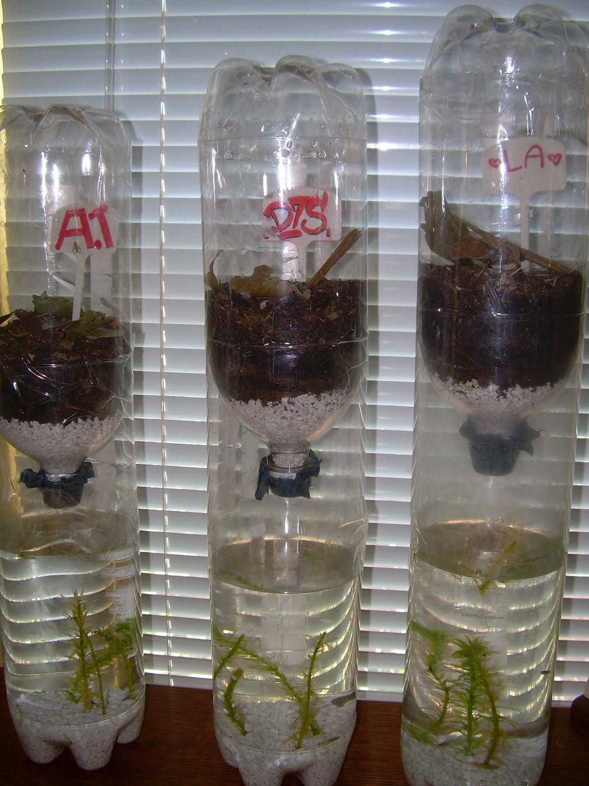 Bottle Ecosystem Project