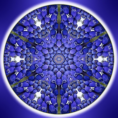 blue light special mandala blue light special