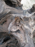 driftwood driftwood