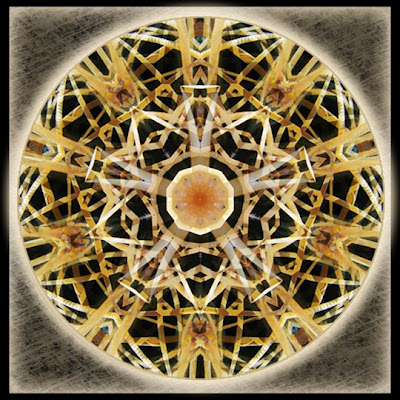 strength in the light mandala strength in the light