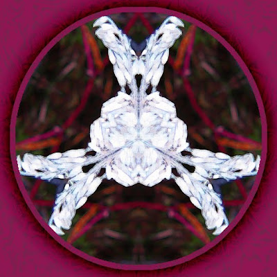 zen dream mandala zen dream mandala