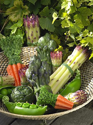 [springcandles.jpeg]