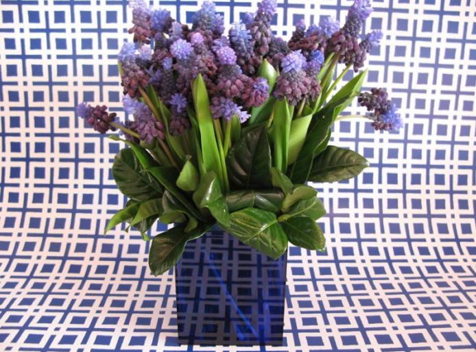 [springrosenow3.jpeg]