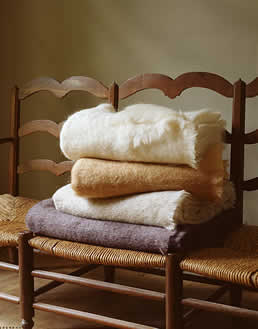 [readingdelorme.jpeg]