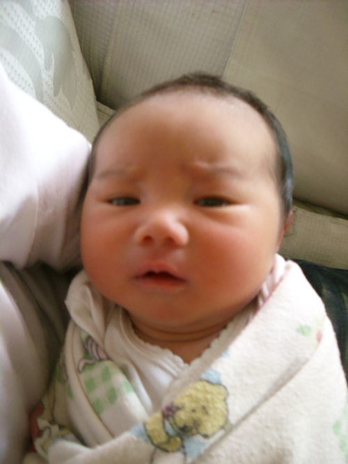 [SL703060.JPG]