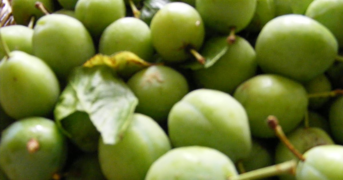 Grethic's Grethicia What to do with Green Plums?