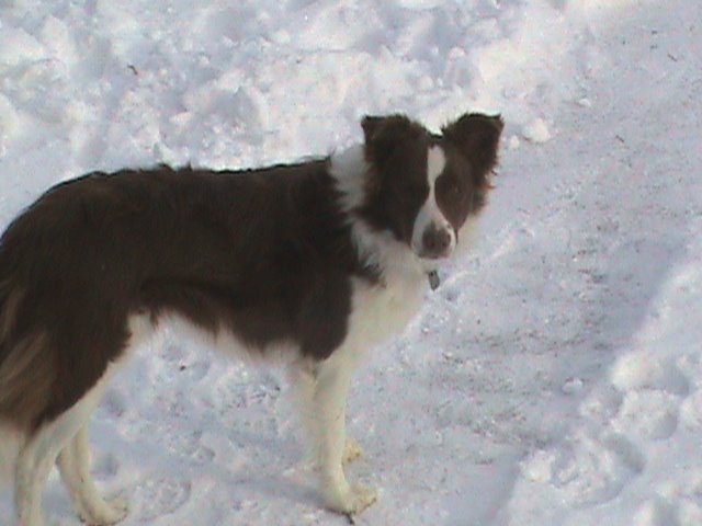 [DSC00406.JPG]