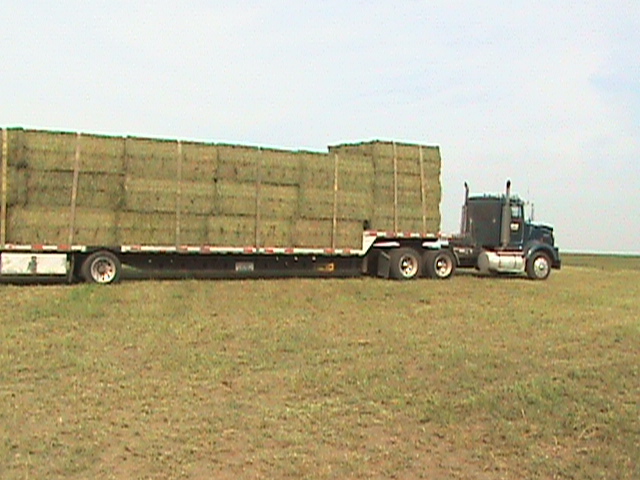[Farm2+001.jpg]