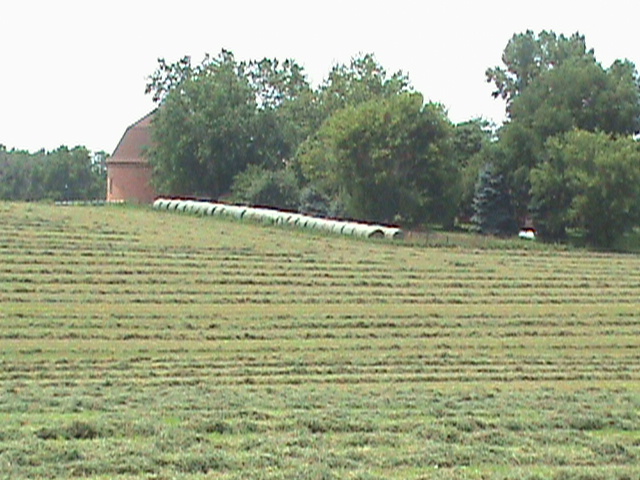 [Farm2+011.jpg]