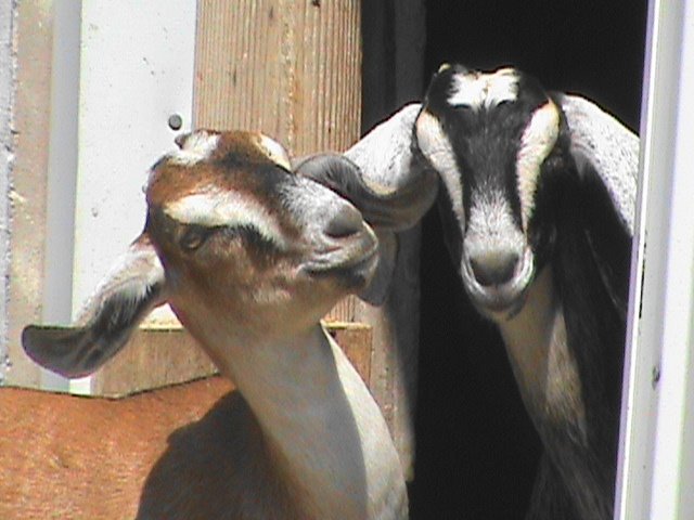 [DSC00213.JPG]