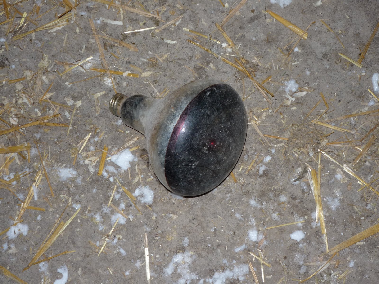 [P1000056.JPG]
