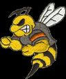 Go Wasps!