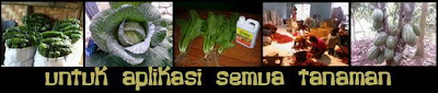 PUPUK ORGANIK | GUNAKAN PUPUK ORGANIK
