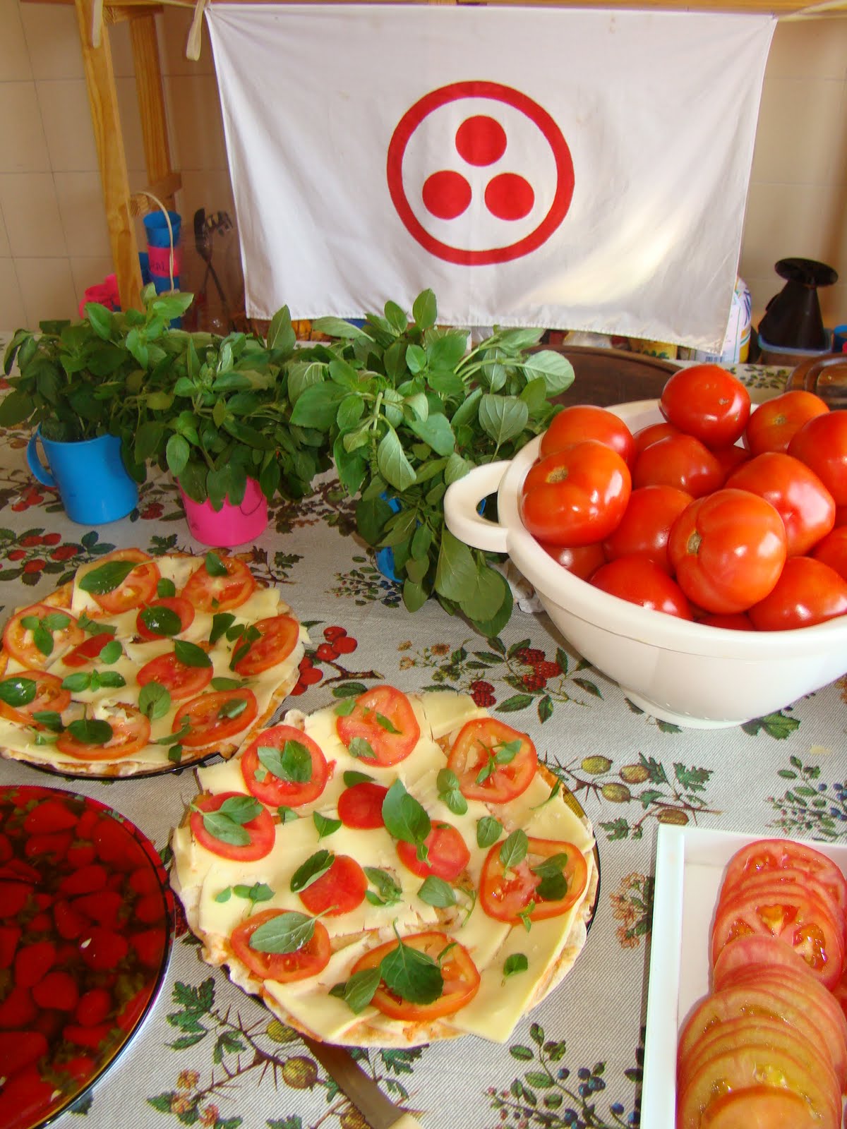 [DSC00294.JPG]