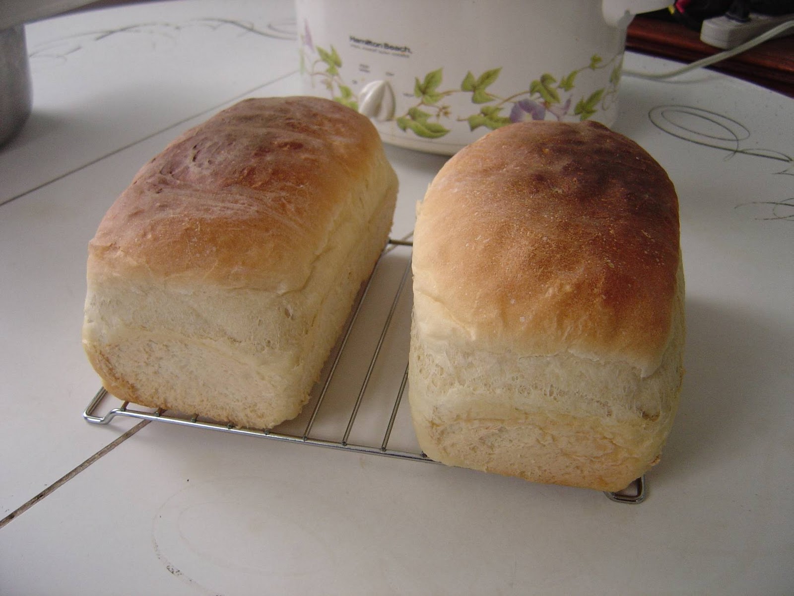 Beauty Cooks Kisses My Easy Bread Recipe for the Food Processor