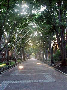 What's That? Locust Walk Compass