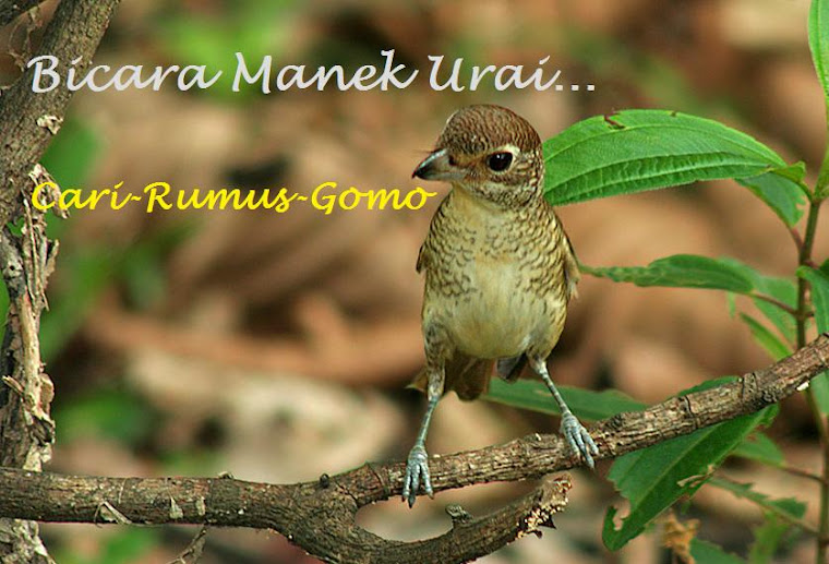 Bicara Manek Urai