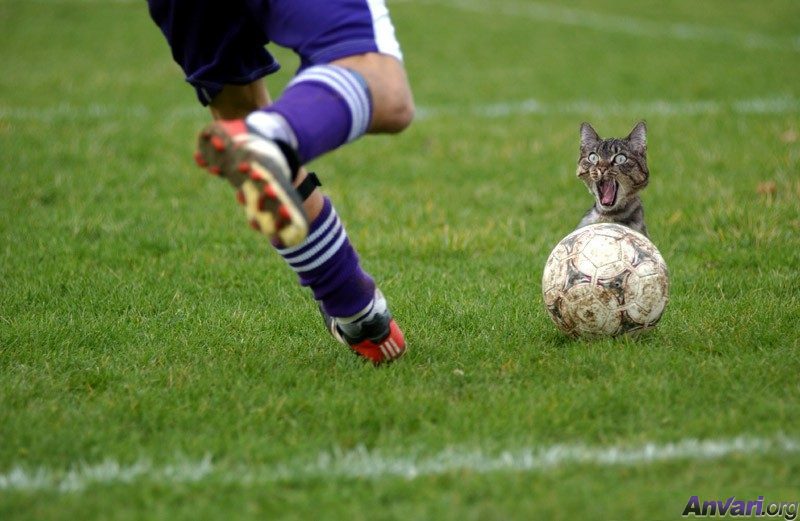 [chatfoot.jpg]