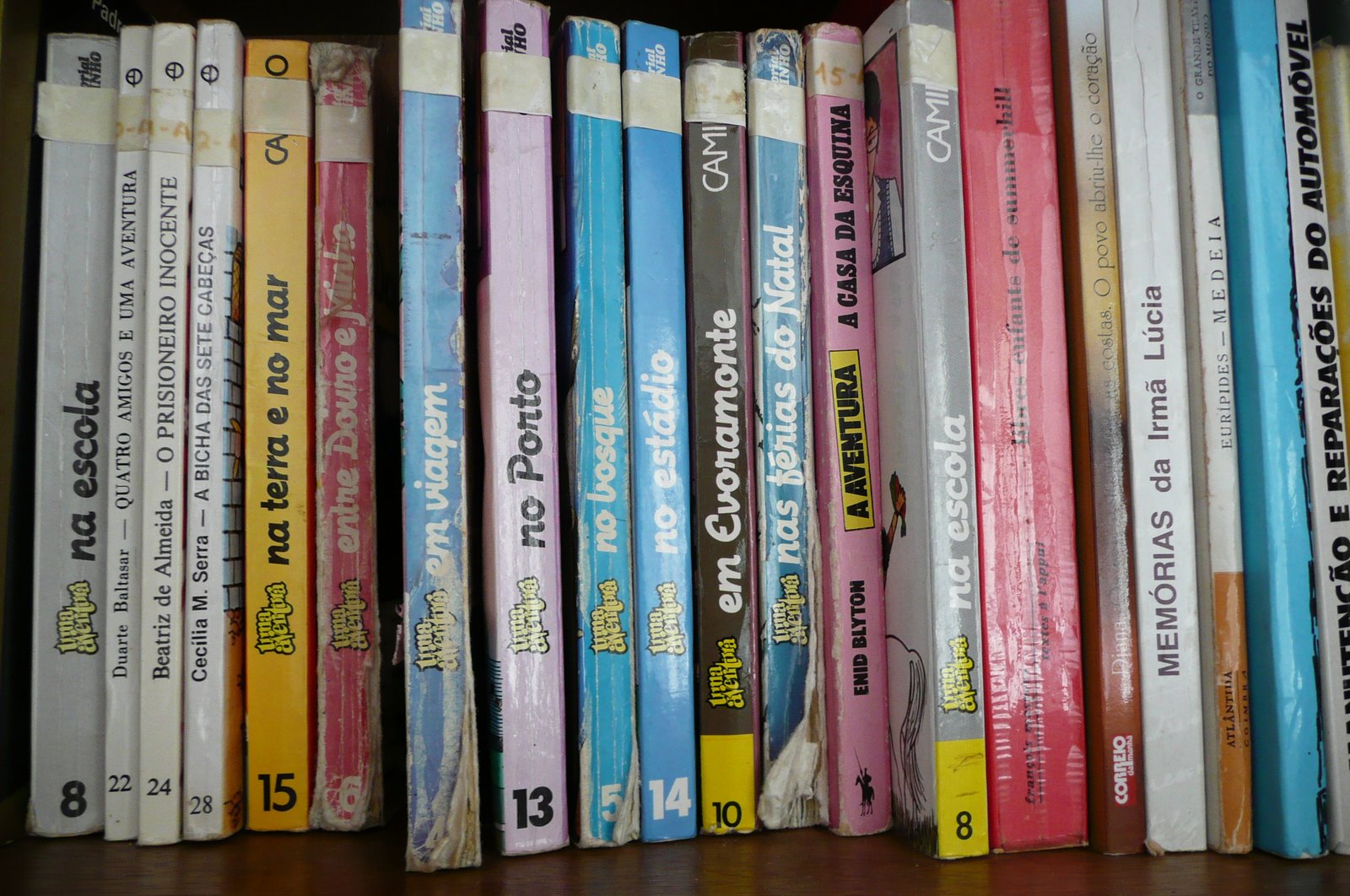 [P1010559.JPG]