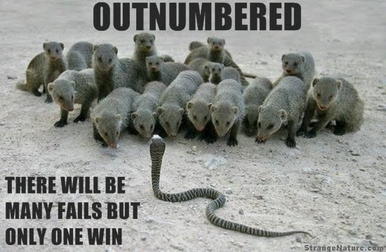 Laziness+quotes+funny funny animals with funny sayings. Laziness+quotes+funny