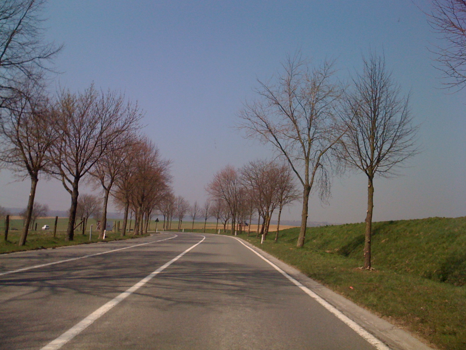 [Primavera.JPG]