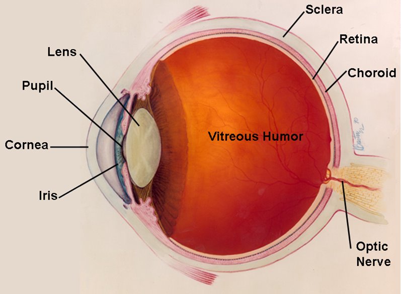 [eye+diagram.jpg]