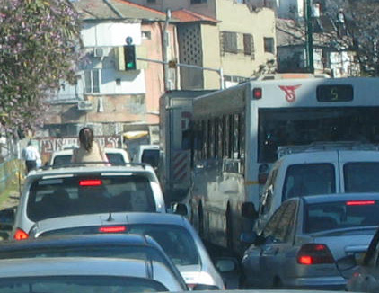 [girl+sticking+out+of+car.jpg]