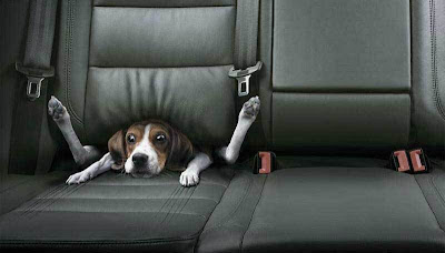 intimidated from the inside