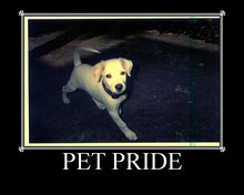 Pet Pride