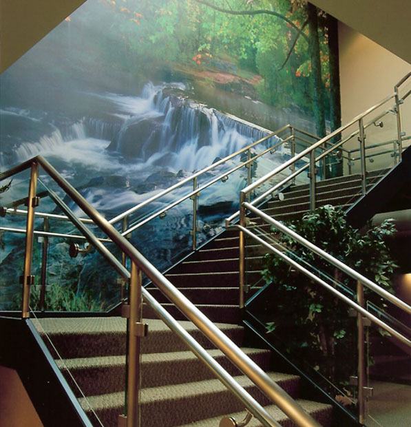 Wall Murals Images