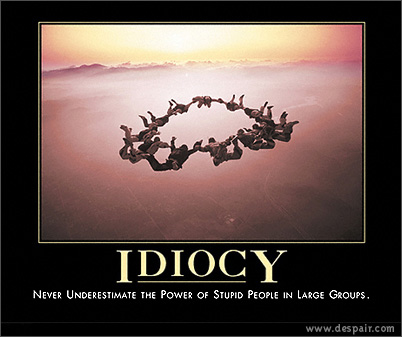[idiocy.jpeg]