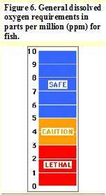 [general+dissolved+oxygen.jpg]