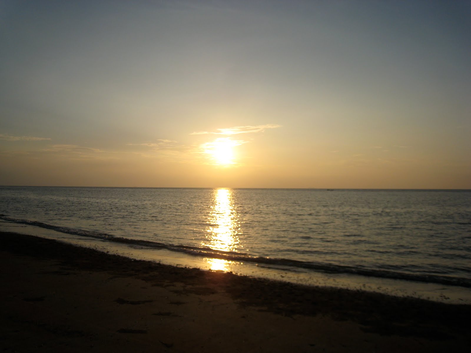 [IMG_6504.JPG]