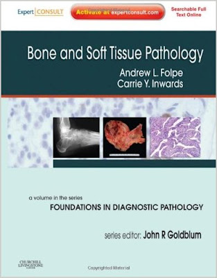 Bone and Soft Tissue Pathology: A Volume in the Foundations in Diagnostic Pathology Series BONE+AND+SOFT+TISSUE+PATHOLOGY